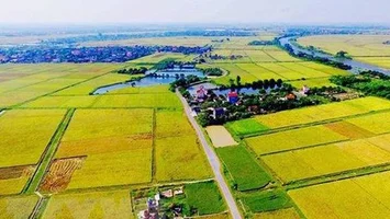 Công nhận quyền đối với hộ gia đình, cá nhân không có giấy tờ về quyền sử dụng đất
