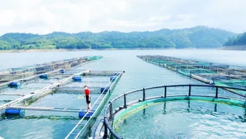 Đổi mới phương pháp tiếp cận phát triển sinh kế trong chương trình giảm nghèo bền vững