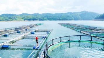 Đổi mới phương pháp tiếp cận phát triển sinh kế trong chương trình giảm nghèo bền vững