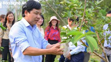 HĐND tỉnh giám sát chuyên đề về chính sách phát triển miền núi tại Tương Dương