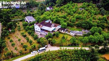 Vườn mẫu nông thôn mới, để không dừng lại ở mô hình