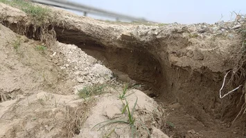 Sở Nông nghiệp và Phát triển nông thôn trả lời cử tri xã Xuân Tường, huyện Thanh Chương về xây dựng kè chống sạt lở bờ sông Lam