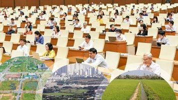 Đại biểu chuyên trách và dự thảo Luật Đất đai (sửa đổi)