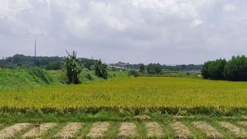 Điều kiện, tiêu chí cho phép chuyển mục đích sử dụng đất