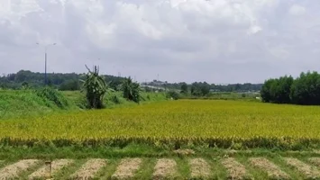 Điều kiện, tiêu chí cho phép chuyển mục đích sử dụng đất