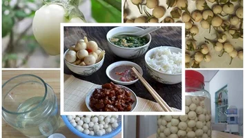 Món cà muối xứ Nghệ