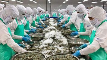 Thủ tướng yêu cầu nghiên cứu gói tín dụng 10 nghìn tỷ đồng cho ngành lâm, thủy sản