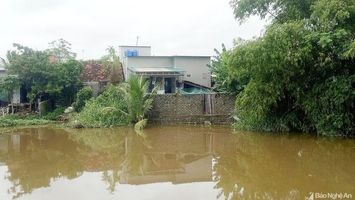 Sở Nông nghiệp và Môi trường trả lời cử tri xã An Hòa về nâng cấp tuyến đê ngăn mặn