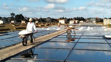 Sở Nông nghiệp và Phát triển nông thôn trả lời cử tri xã Quỳnh Long, huyện Quỳnh Lưu về chính sách hỗ trợ cho diêm dân