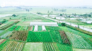 Thêm 4 xã của huyện Nam Đàn được công nhận đạt chuẩn 'Nông thôn mới kiểu mẫu'