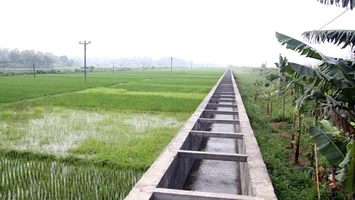 Sở Nông nghiệp và Phát triển nông thôn trả lời cử tri xã Hưng Thông, huyện Hưng Nguyên về Dự án cải tạo, nâng cấp trạm bơm và hệ thống kênh xã Hưng Lĩnh