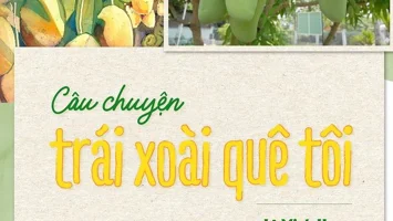 Câu chuyện trái xoài quê tôi