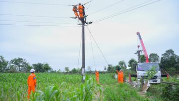 Chủ tịch UBND tỉnh Nghệ An chỉ đạo thực hiện kịp thời các nhiệm vụ cấp bách về điện năng