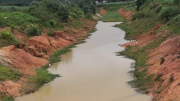Sở Nông nghiệp và Phát triển nông thôn trả lời cử tri bản Quỳnh 1, xã Châu Bình, huyện Quỳ Châu