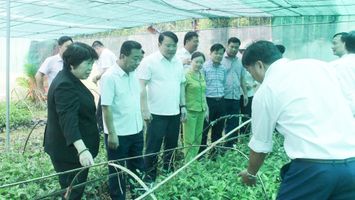 Chủ nhiệm Ủy ban Xã hội của Quốc hội: Chú trọng nâng cao nhận thức, khát vọng thoát nghèo, làm giàu trong nhân dân