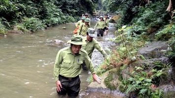 Nghệ An chi không quá 15 tỷ đồng mỗi năm từ nguồn ngân sách hỗ trợ lực lượng chuyên trách bảo vệ rừng