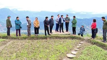 Bài 1: Chịu sự chỉ đạo của Chủ tịch Ủy ban nhân dân huyện