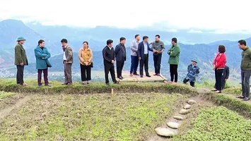 Bài 1: Chịu sự chỉ đạo của Chủ tịch Ủy ban nhân dân huyện