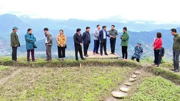 Bài 1: Chịu sự chỉ đạo của Chủ tịch Ủy ban nhân dân huyện