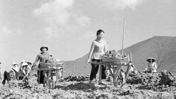 Sở Lao động–TB và XH trả lời kiến nghị của cử tri Ngô Thị Kim Quy, Chủ tịch Hội cựu Thanh niên xung phong xã Nghĩa Tiến, thị xã Thái Hòa về trợ cấp cho cựu Thanh niên xung phong có hoàn cảnh khó khăn