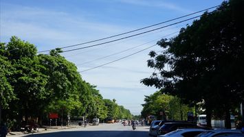 UBND thành phố Vinh trả lời cử tri Nguyễn Xuân Bình, phường Quán Bàu, thành phố Vinh về thi công đường nối từ đường Lê Ninh đến ga Vinh.