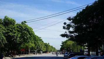UBND thành phố Vinh trả lời cử tri Nguyễn Xuân Bình, phường Quán Bàu, thành phố Vinh về thi công đường nối từ đường Lê Ninh đến ga Vinh.