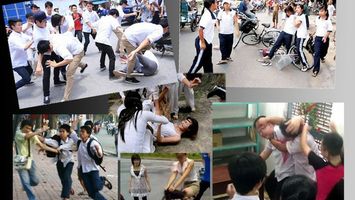 Sở Giáo dục và Đào tạo trả lời cử tri về bạo lực học đường và khắc phục bệnh thành tích trong giáo dục