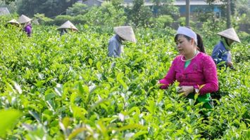 Bộ Nông nghiệp và Phát triển nông thôn trả lời kiến nghị cử tri về Chương trình mục tiêu quốc gia phát triển kinh tế - xã hội vùng đồng bào DTTS và MN