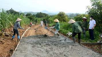 Sở Nông nghiệp và Phát triển nông thôn trả lời cử tri xã Kim Thành, huyện Yên Thành về ứng trước xi măng để hoàn thành tiêu chí giao thông nông thôn