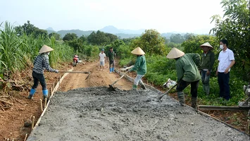 Sở Nông nghiệp và Phát triển nông thôn trả lời cử tri xã Kim Thành, huyện Yên Thành về ứng trước xi măng để hoàn thành tiêu chí giao thông nông thôn