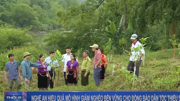 Nghệ An - Hiệu quả mô hình giảm nghèo bền vững cho đồng bào dân tộc thiểu số