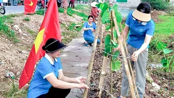 Phụ nữ Nghệ An chung tay xây dựng nông thôn mới, đô thị văn minh