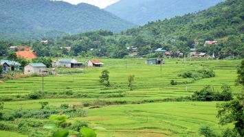 HĐND tỉnh Nghệ An điều chỉnh nguồn kinh phí thực hiện Chương trình mục tiêu quốc gia giảm nghèo