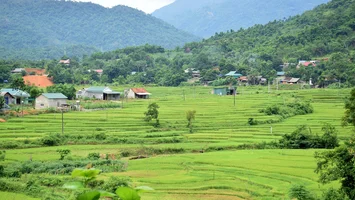 HĐND tỉnh Nghệ An điều chỉnh nguồn kinh phí thực hiện Chương trình mục tiêu quốc gia giảm nghèo