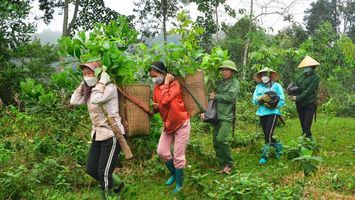 Sở Y tế trả lời cử tri xã Xuân Hoà, huyện Nam Đàn về chính sách hỗ trợ bảo hiểm y tế cho các hộ cá nhân làm nông, lâm, ngư nghiệp