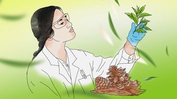 Câu chuyện thứ hai: Khởi nghiệp trong một trường Đại học Bỉ