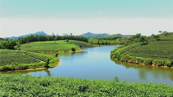 Trả lời kiến nghị cử tri về tiến độ xây dựng Dự án Khu du lịch, dịch vụ hỗn hợp và nghỉ dưỡng Cầu Cau
