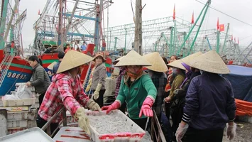 Sở Nông nghiệp và Phát triển nông thôn trả lời kiến nghị cử tri thị xã Hoàng Mai về việc chậm hỗ trợ cho ngư dân theo chính sách khai thác biển xa