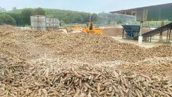 Phát huy tiềm năng xuất khẩu nông sản
