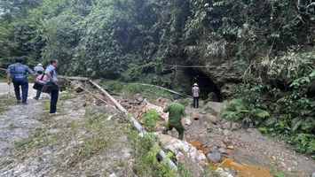UBND tỉnh trả lời kiến nghị cử tri huyện Quế Phong về việc giải quyết dứt điểm việc xâm canh lấn chiếm đất rừng