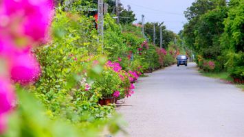 Chuyển mình của nông thôn Nghệ An trong xây dựng nông thôn mới