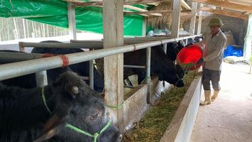 Quỹ hỗ trợ nông dân đồng hành cùng nông dân trong phát triển sản xuất
