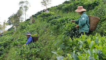 Phát huy lợi thế để phát triển Nông nghiệp hữu cơ vùng miền Tây