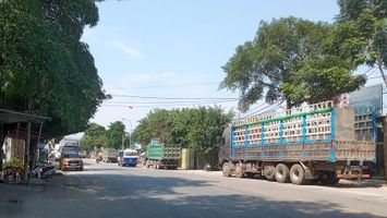 Sở Giao thông - Vận tải trả lời cử tri xã Yên Hợp, huyện Quỳ Hợp về sửa chữa, nâng cấp tuyến đường Quốc lộ 48