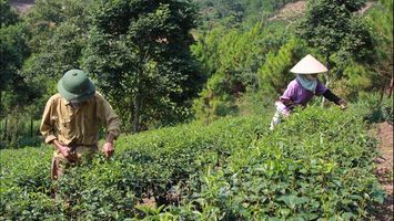 Bộ Lao động, Thương binh và Xã hội trả lời kiến nghị cử tri về đánh giá chỉ tiêu giảm nghèo bền vững