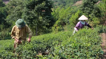 Bộ Lao động, Thương binh và Xã hội trả lời kiến nghị cử tri về đánh giá chỉ tiêu giảm nghèo bền vững