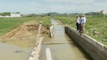 Sở Nông nghiệp và Phát triển nông thôn trả lời cử tri Nguyễn Đình Hanh, Chủ tịch Ủy ban nhân dân phường Quỳnh Xuân, thị xã Hoàng Mai về nâng cấp hệ thống kênh Vực Mấu