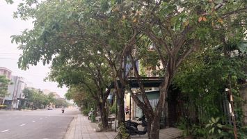 Bộ Công an yêu cầu cung cấp thông tin thi công dự án trồng, chăm sóc cây xanh các tỉnh, thành