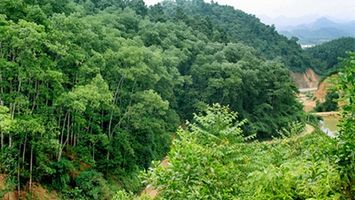Thường trực HĐND tỉnh xử lý đơn của ông Nguyễn Văn Đàn, trú tại xóm Liên Sơn, xã Kim Liên, huyện Nam Đàn