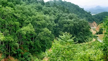 Thường trực HĐND tỉnh xử lý đơn của ông Nguyễn Văn Đàn, trú tại xóm Liên Sơn, xã Kim Liên, huyện Nam Đàn